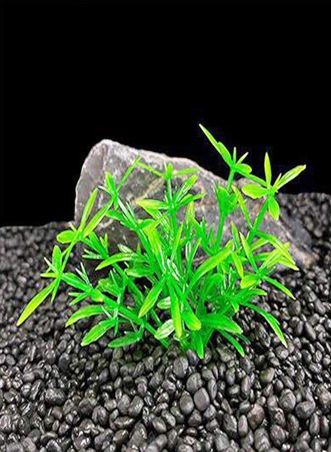 Smoothedo-Pets Aquarium Plant Fish Tank Decoration 20 Pieces Small/1" Tall Plastic Artificial Plant Goldfish Hidden Mini Grass Set (Green-A) - Image 3